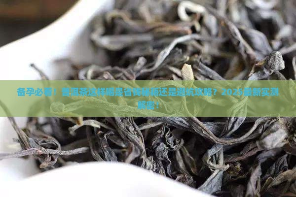 备孕的人可以喝普洱茶