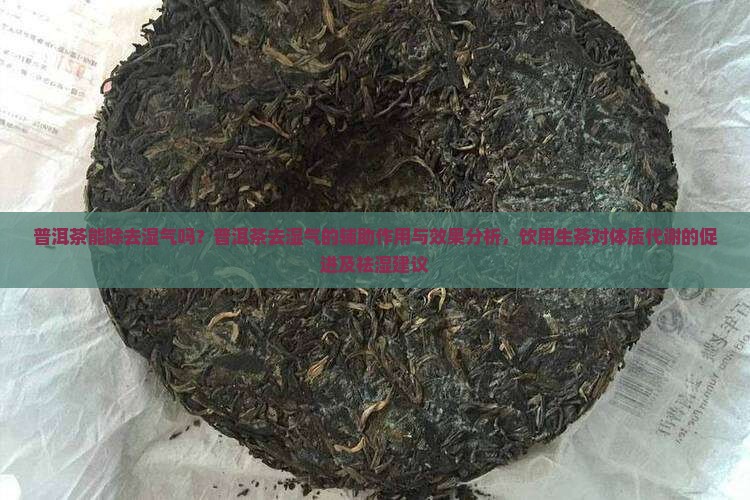 喝普洱茶能除去湿气吗