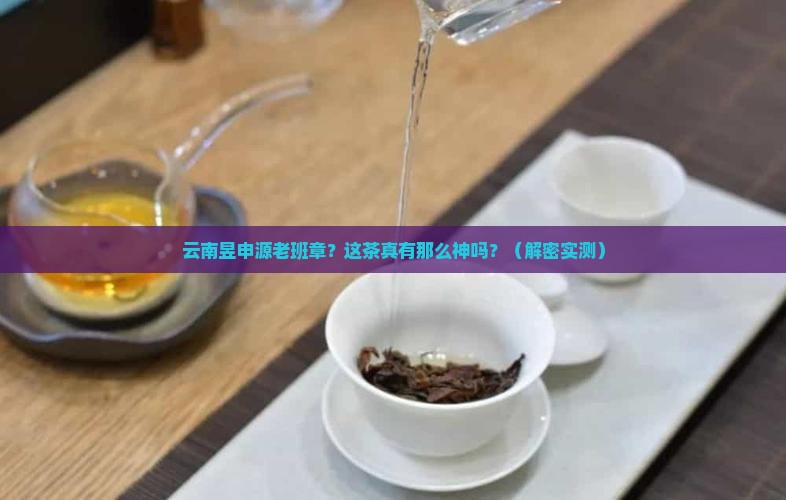 云南昱申源老班章