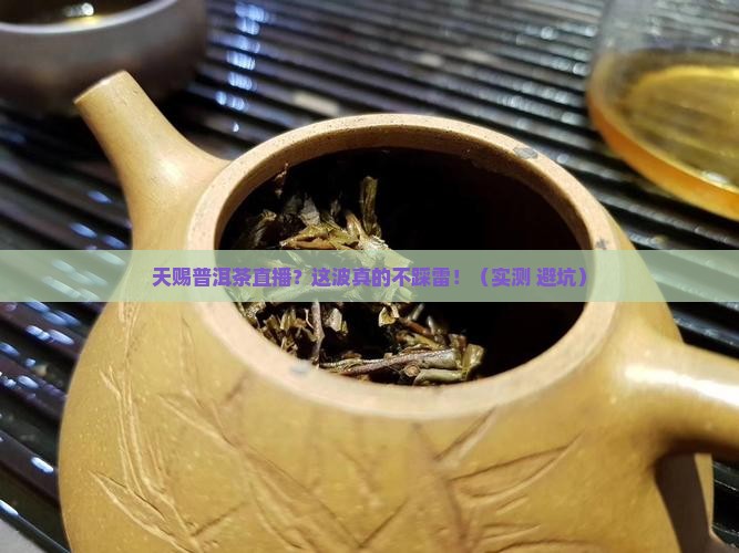 天赐普洱茶直播