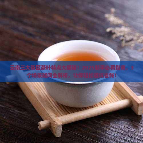云南三大茶区的茶有哪些特点