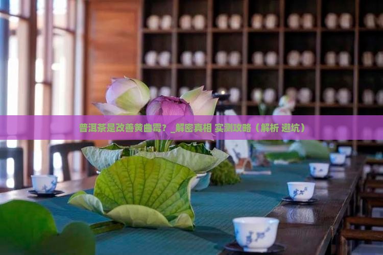 普洱茶是改善黄曲霉吗