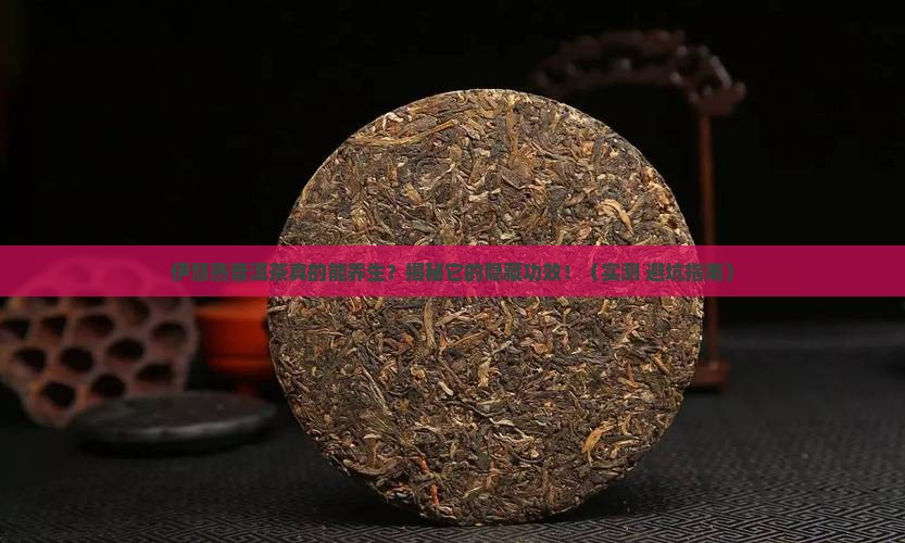 伊慧熟普洱茶的功效