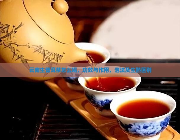 云南生普洱茶怎么喝
