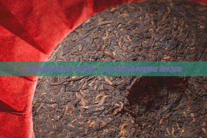 红茶绿茶普洱茶哪个能减肥