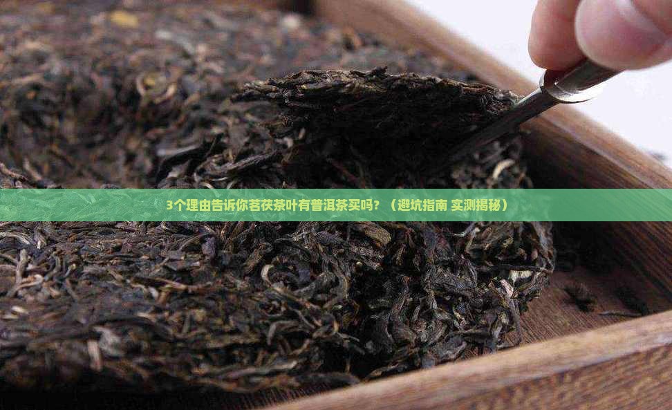 茗茯茶叶有普洱茶买吗
