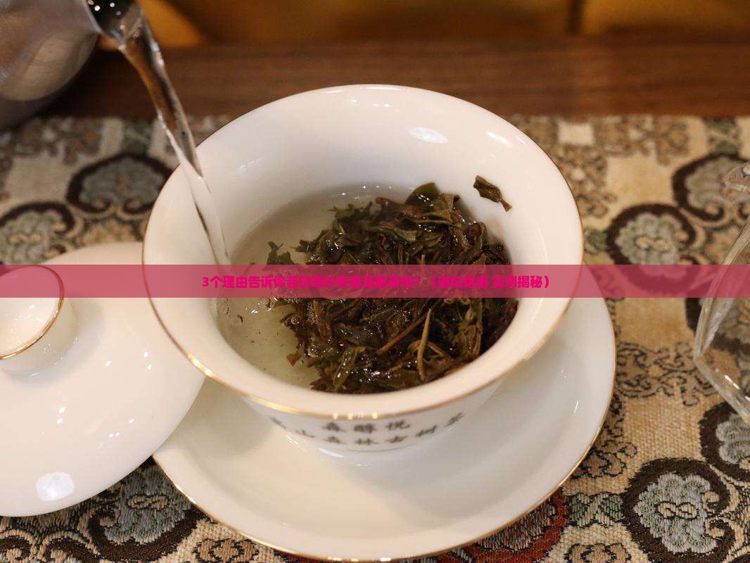 茗茯茶叶有普洱茶买吗