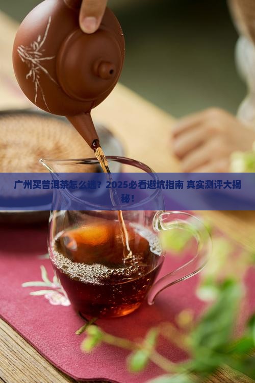 广州买普洱茶推荐