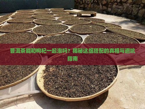 普洱茶可以和枸杞一起泡水喝吗