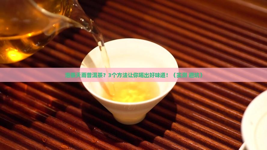 泡茶天雨普洱茶