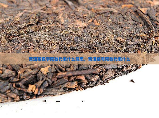 普洱茶尾数代表什么意思