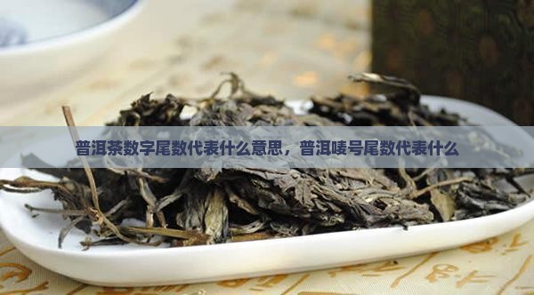 普洱茶尾数代表什么意思