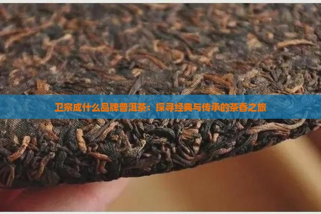 卫宗成什么品牌普洱茶