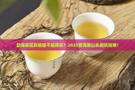 普洱茶山头之勐海茶区