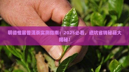 明德惟馨普洱茶