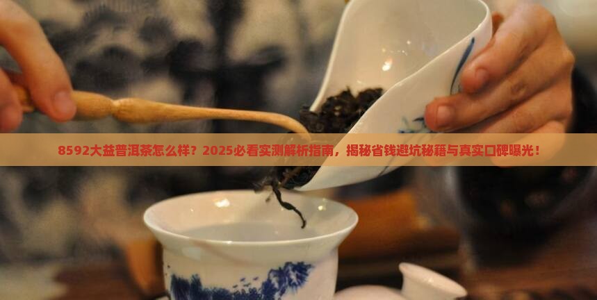 8592大益普洱茶怎么样