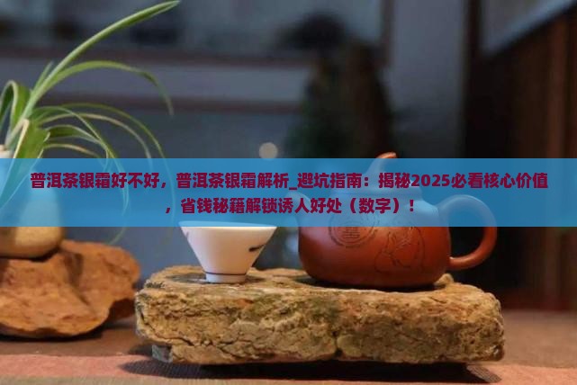 普洱茶银霜好不好