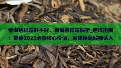 普洱茶银霜好不好