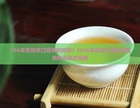 100年老班章口感