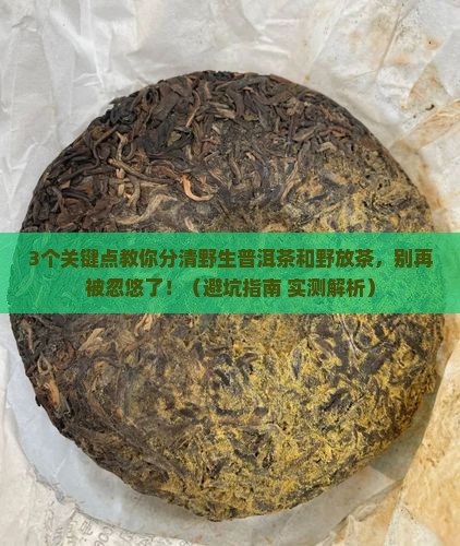 野生普洱茶和野放茶的区别