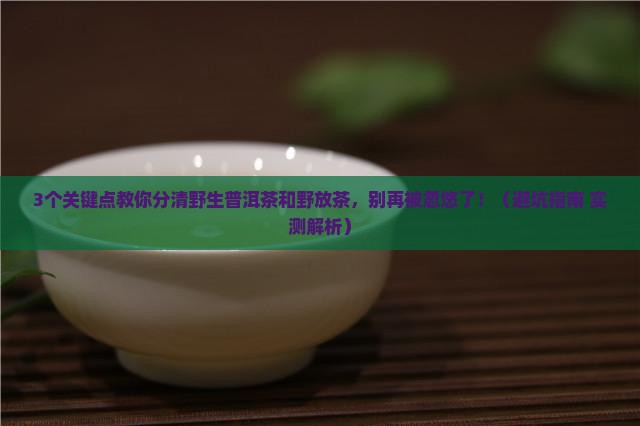 野生普洱茶和野放茶的区别