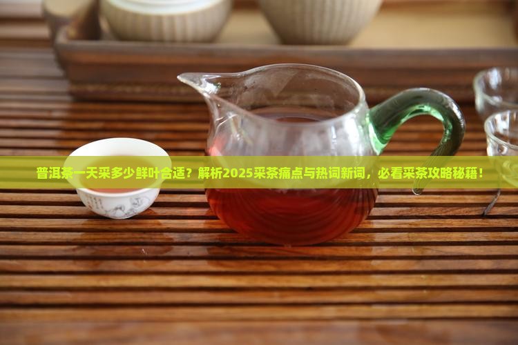 普洱茶一天采多少鲜叶合适