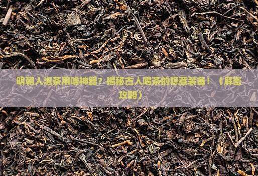 明朝泡茶用什么器具