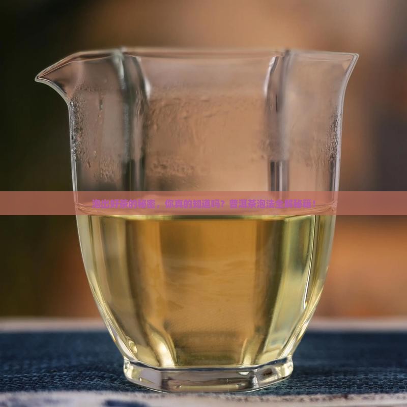 多种普洱茶泡法