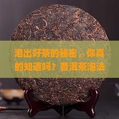 多种普洱茶泡法