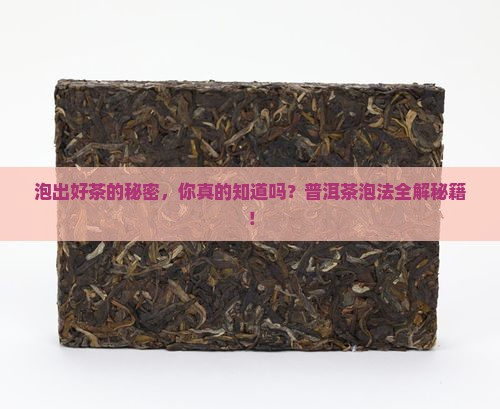 多种普洱茶泡法