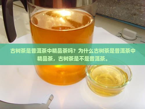 古树茶是普洱茶中精品茶吗