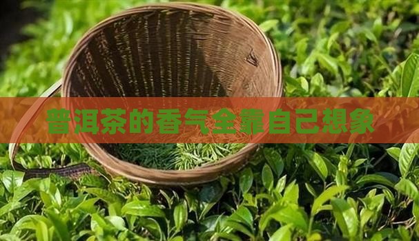 普洱茶的香味全靠自己想象