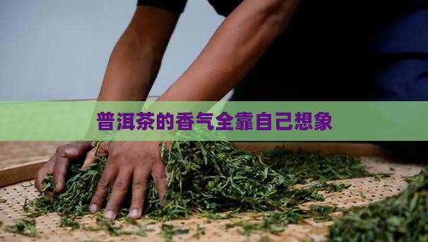 普洱茶的香味全靠自己想象