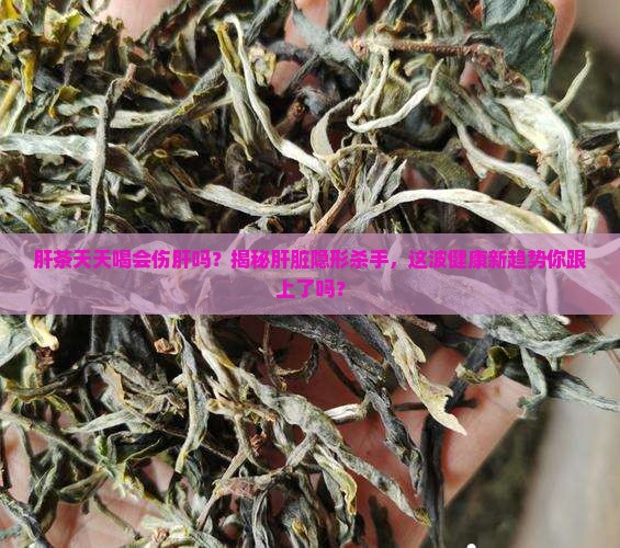 肝茶可以天天喝吗