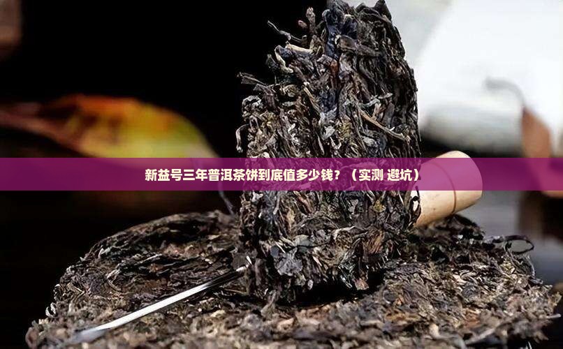 三年普洱茶饼新益号多少钱