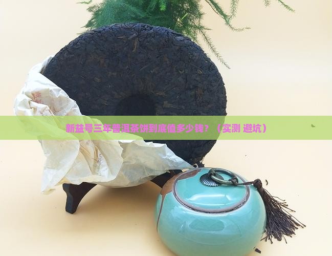 三年普洱茶饼新益号多少钱