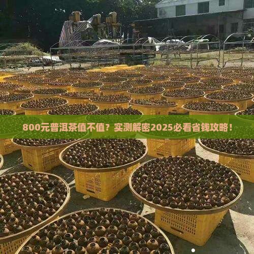 800元的普洱茶贵吗百度