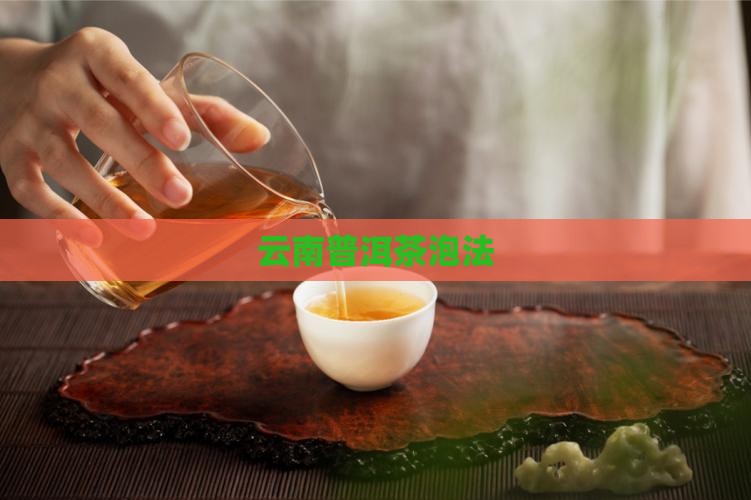 云南普洱茶泡法