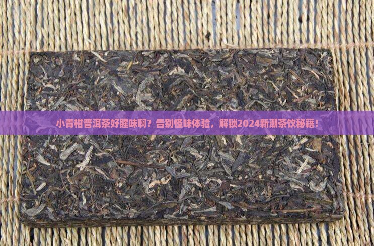 小青柑普洱茶好腥味啊