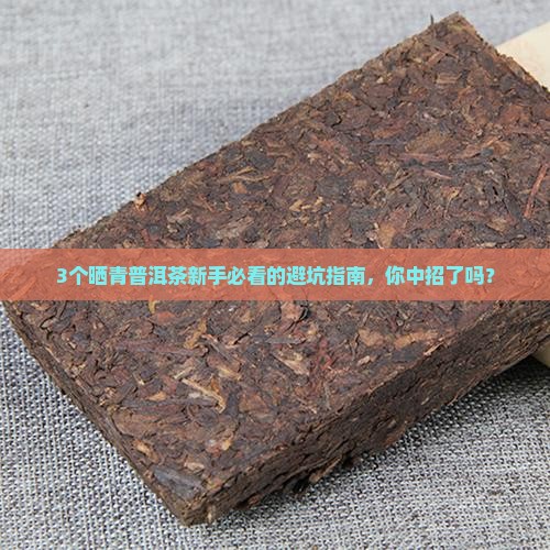 晒青普洱茶全部