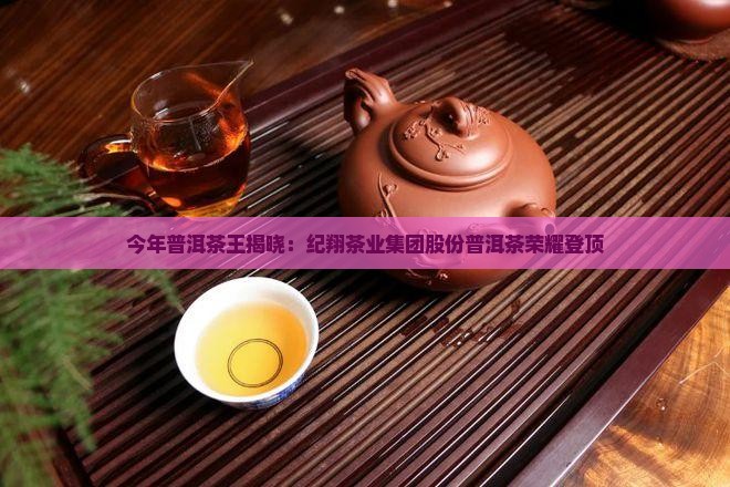 今年普洱茶王是谁啊