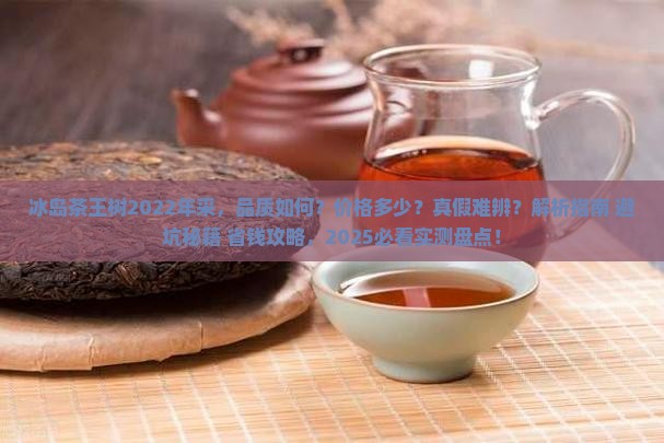 冰岛茶王树2022年采
