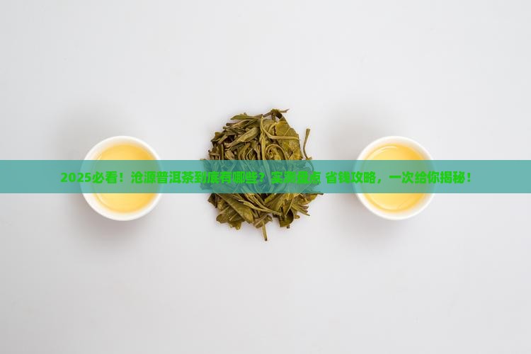 沧源普洱茶有哪些
