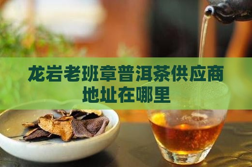 龙岩老班章供应商地址在哪里