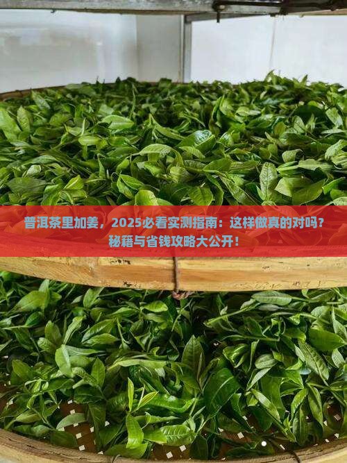 普洱茶放点姜可以吗