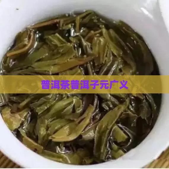 普洱茶子元广义