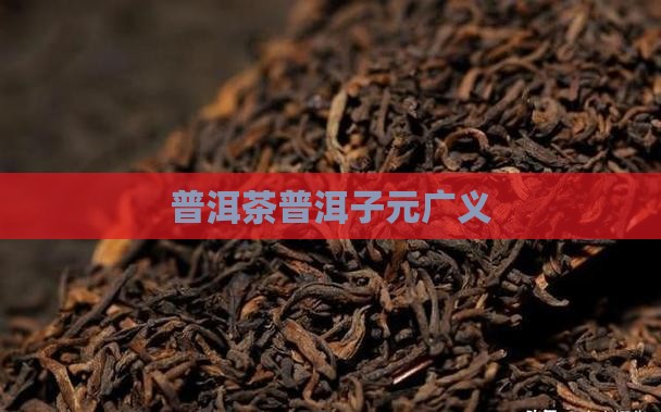 普洱茶子元广义