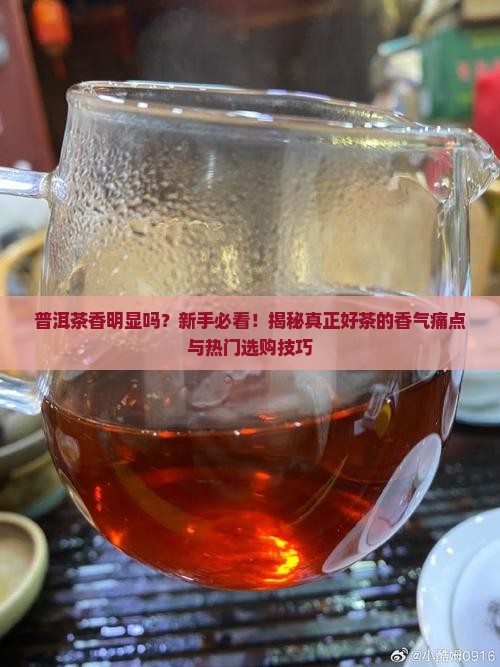 普洱茶香明显吗