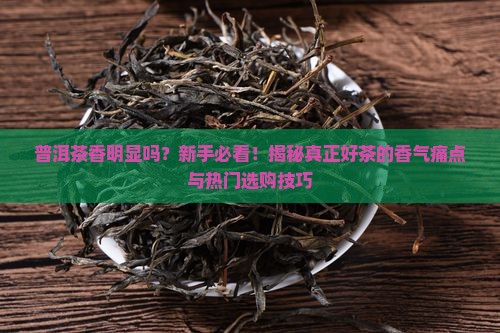 普洱茶香明显吗