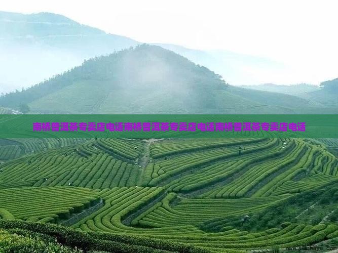 南桥普洱茶专卖店电话